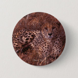 Badge Rond 5 Cm Cheetah Stare