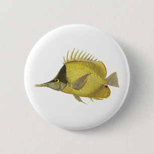 Badge Rond 5 Cm Chelmon Tropical Jaune Longirostris, Poisson Vinta