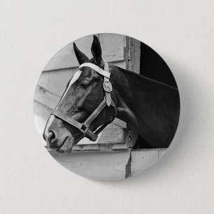 Badge Rond 5 Cm Cheval