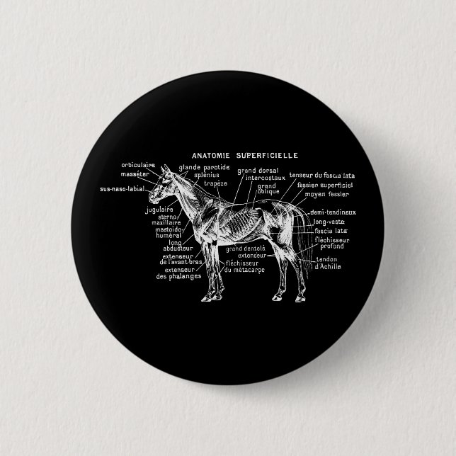 Badge Rond 5 Cm Cheval (Devant)