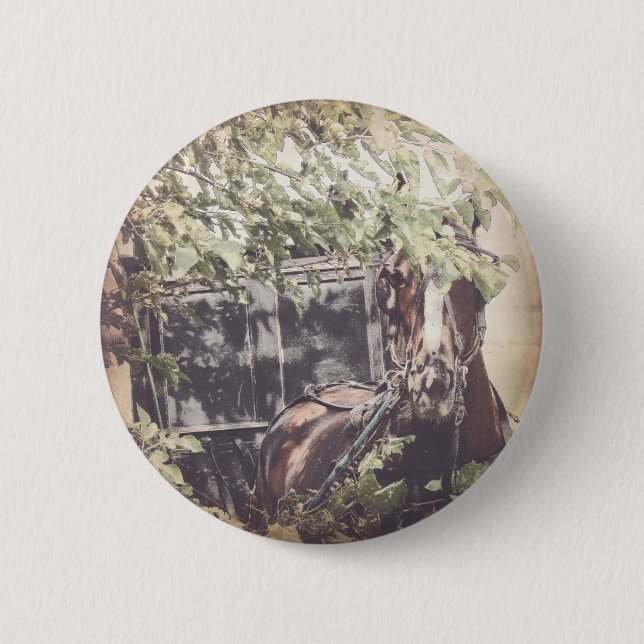 Badge Rond 5 Cm Cheval Amish et Buggy à l'ombre (Devant)
