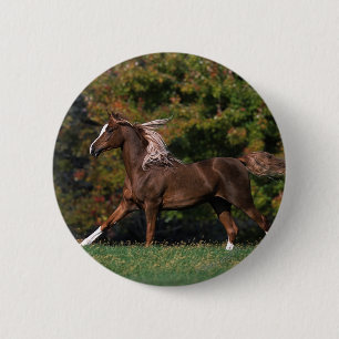 Badge Rond 5 Cm Cheval arabe fonctionnant dans le domaine herbeux