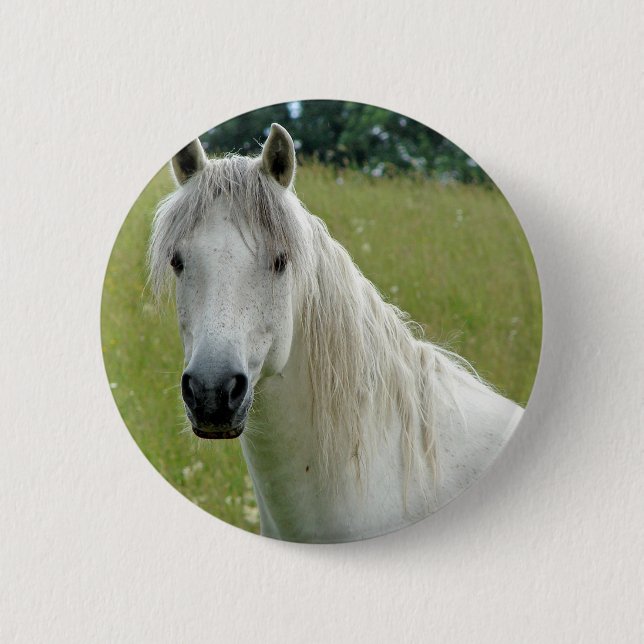 Badge Rond 5 Cm Cheval blanc (Devant)