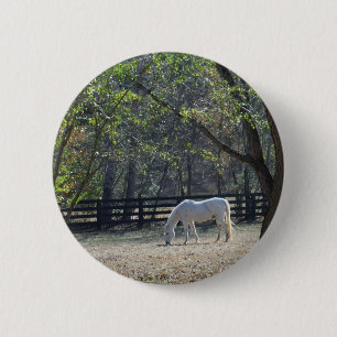 Badge Rond 5 Cm Cheval blanc dans les arbres