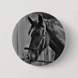 Badge Rond 5 Cm Cheval blanc noir - Art de la photographie animale
