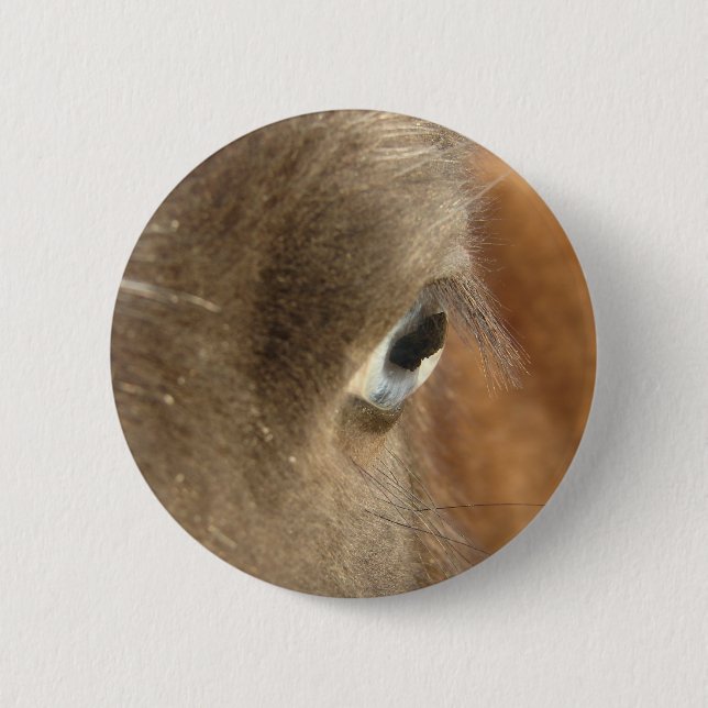 Badge Rond 5 Cm Cheval bleu (Devant)