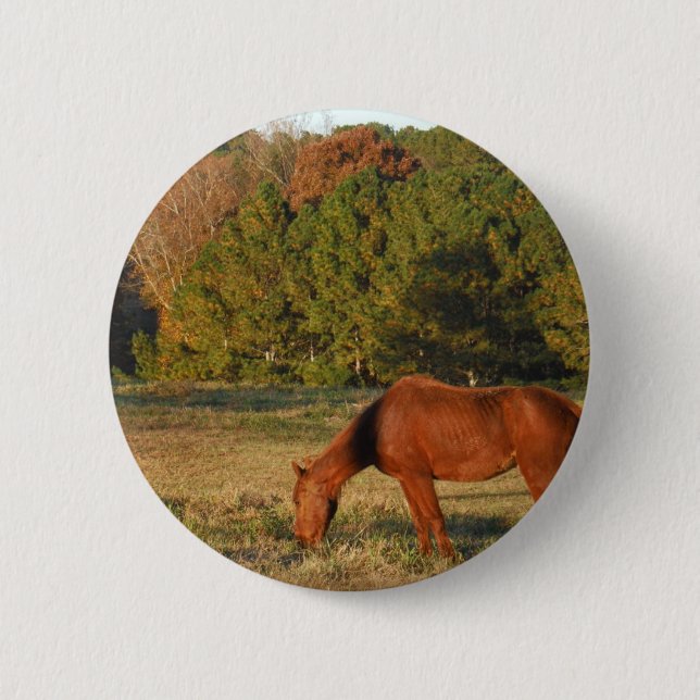 Badge Rond 5 Cm Cheval Brown aux pins (Devant)