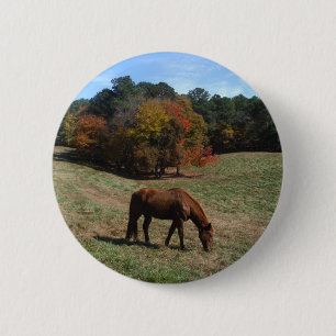 Badge Rond 5 Cm Cheval Brown avec arbres à automne