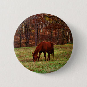 Badge Rond 5 Cm Cheval Brown avec nez blanc au bord des bois