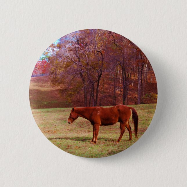 Badge Rond 5 Cm Cheval Brown dans un champ d'herbe (Devant)