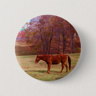 Badge Rond 5 Cm Cheval Brown dans un champ d'herbe