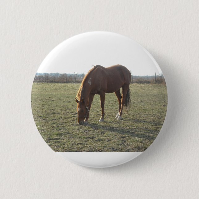 Badge Rond 5 Cm Cheval couleur châtaignier (Devant)