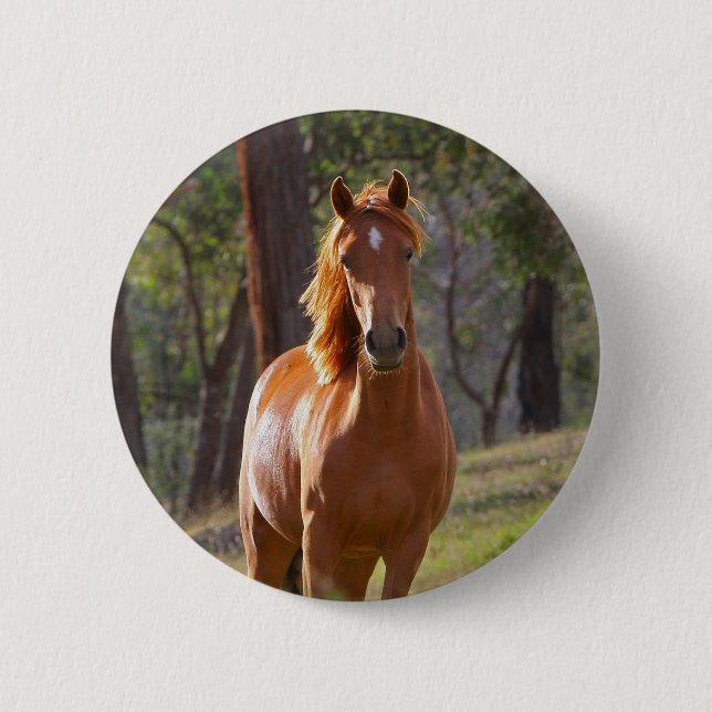 Badge Rond 5 Cm Cheval dans les bois (Devant)