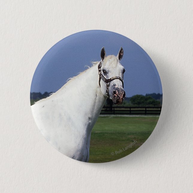 Badge Rond 5 Cm Cheval d'Appaloosa (Devant)