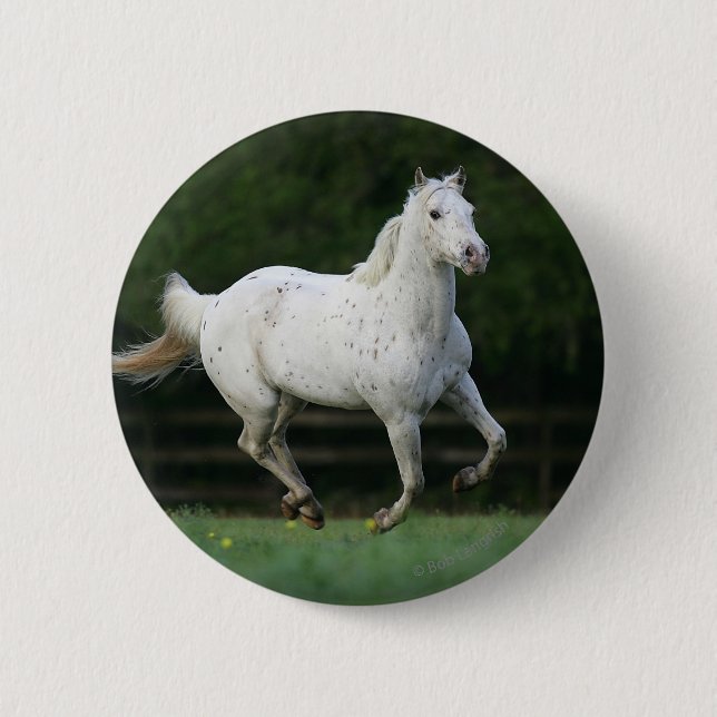 Badge Rond 5 Cm Cheval d'Appaloosa courant 1 (Devant)