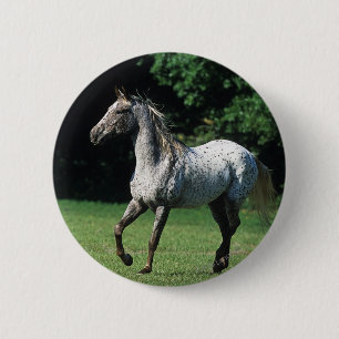 Badge Rond 5 Cm Cheval d'Appaloosa courant 2
