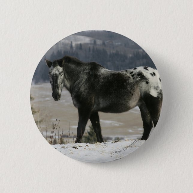 Badge Rond 5 Cm Cheval d'Appaloosa dans la neige (Devant)