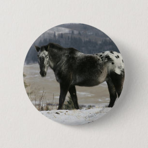 Badge Rond 5 Cm Cheval d'Appaloosa dans la neige