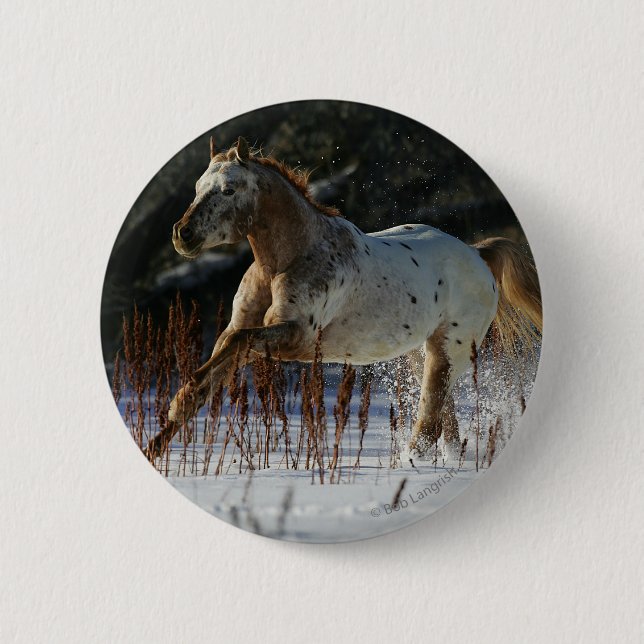 Badge Rond 5 Cm Cheval d'Appaloosa fonctionnant dans la neige (Devant)