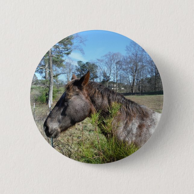 Badge Rond 5 Cm Cheval de couleur Coco et Crème (Devant)