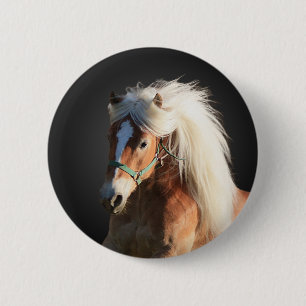 Badge Rond 5 Cm Cheval de Haflinger