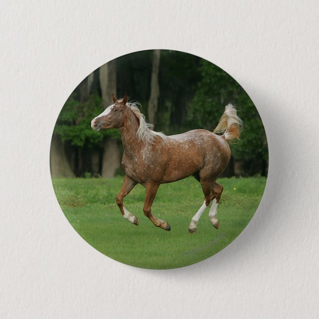 Badge Rond 5 Cm Cheval de l'Appaloosa (Devant)