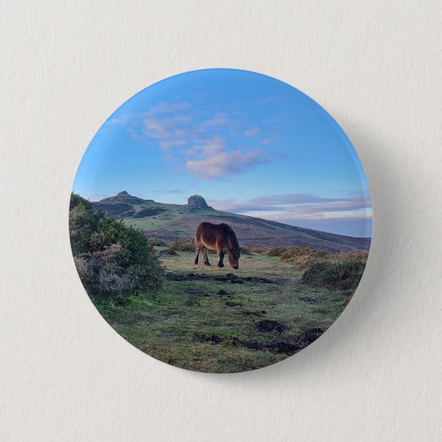 Badge Rond 5 Cm Cheval de pénis Dartmoor sauvage (Devant)