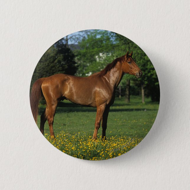 Badge Rond 5 Cm Cheval de pur sang en fleurs (Devant)