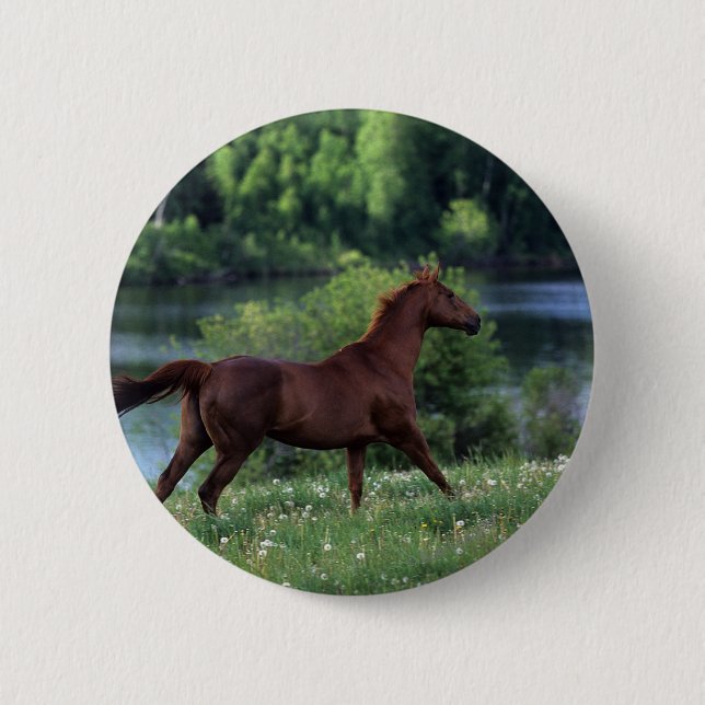 Badge Rond 5 Cm Cheval de pur sang se tenant en fleurs (Devant)