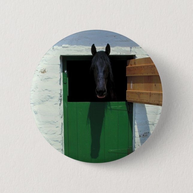 Badge Rond 5 Cm Cheval déposé avec porte française (Devant)
