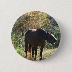 Badge Rond 5 Cm Cheval en automne