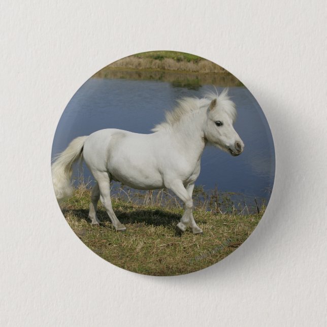 Badge Rond 5 Cm Cheval miniature fonctionnant près de l'eau (Devant)