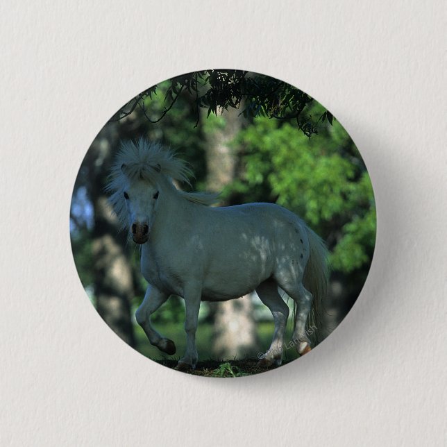 Badge Rond 5 Cm Cheval miniature se tenant dans les arbres (Devant)