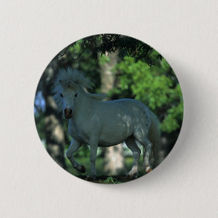Badge Rond 5 Cm Cheval miniature se tenant dans les arbres