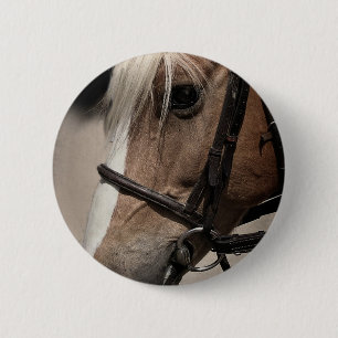 Badge Rond 5 Cm Cheval Palomino en Bridle