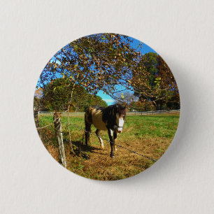 Badge Rond 5 Cm Cheval Peint,
