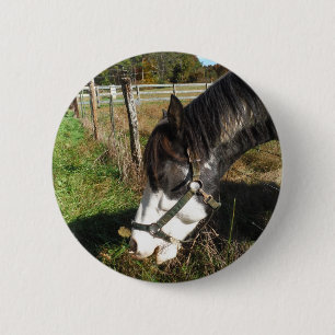 Badge Rond 5 Cm Cheval Peint, Manger Reine Ann Fleur dentelle