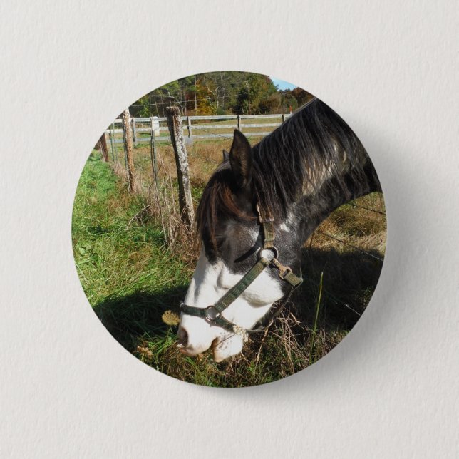 Badge Rond 5 Cm Cheval Peint, Manger Reine Ann Fleur dentelle (Devant)