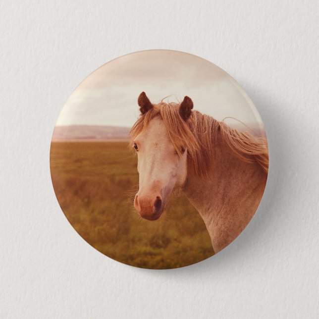 Badge Rond 5 Cm cheval sauvage vintage (Devant)