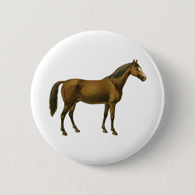 Badge Rond 5 Cm Cheval vintage (Devant)