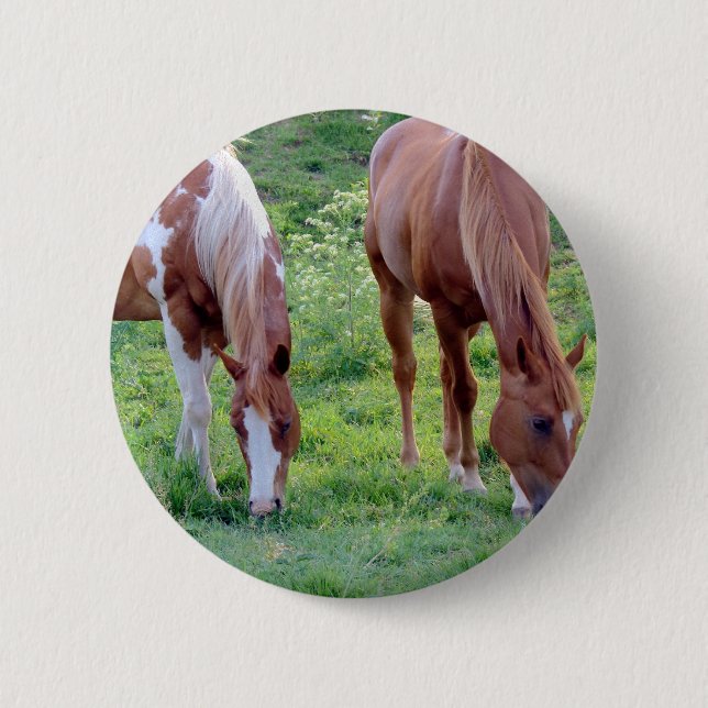 Badge Rond 5 Cm Chevaux (Devant)