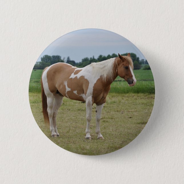 Badge Rond 5 Cm Chevaux (Devant)