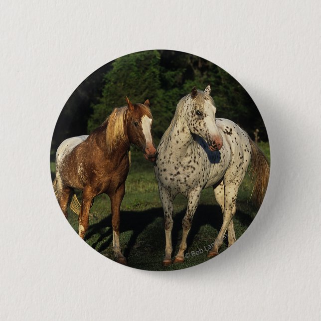 Badge Rond 5 Cm Chevaux d'Appaloosa (Devant)