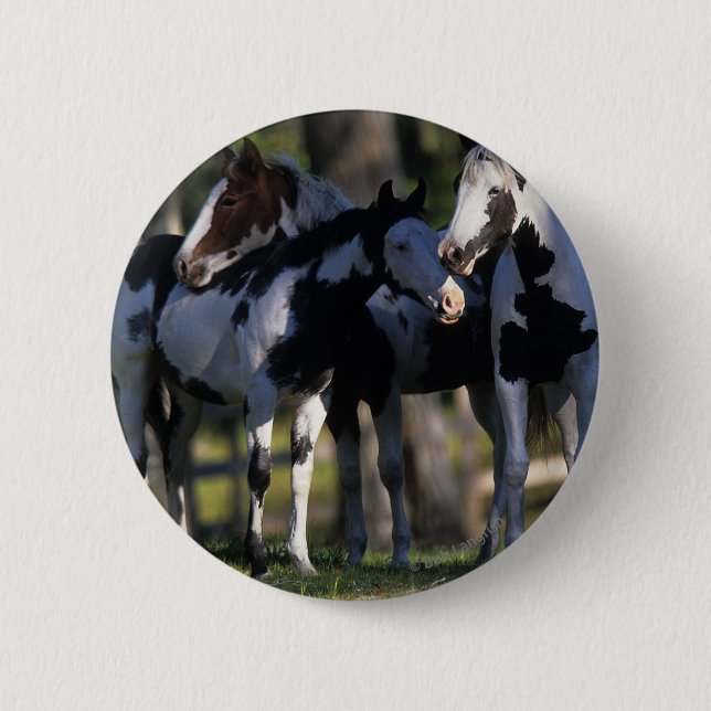 Badge Rond 5 Cm Chevaux de peinture (Devant)