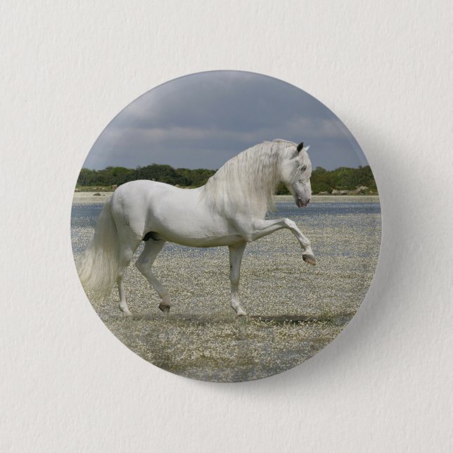 Badge Rond 5 Cm Chevaux d'imaginaire : Seigneur du lac (Devant)