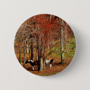 Badge Rond 5 Cm Chevaux jumeaux Brown et blancs