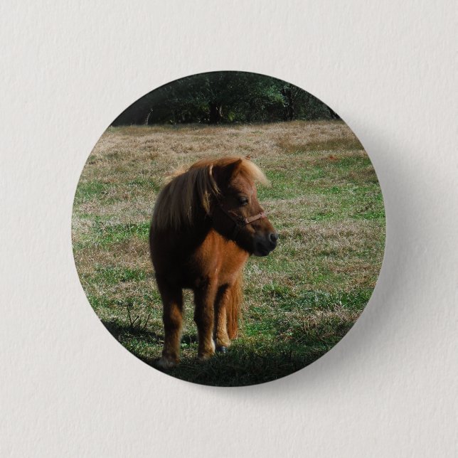 Badge Rond 5 Cm Chevaux miniatures Brown (Devant)