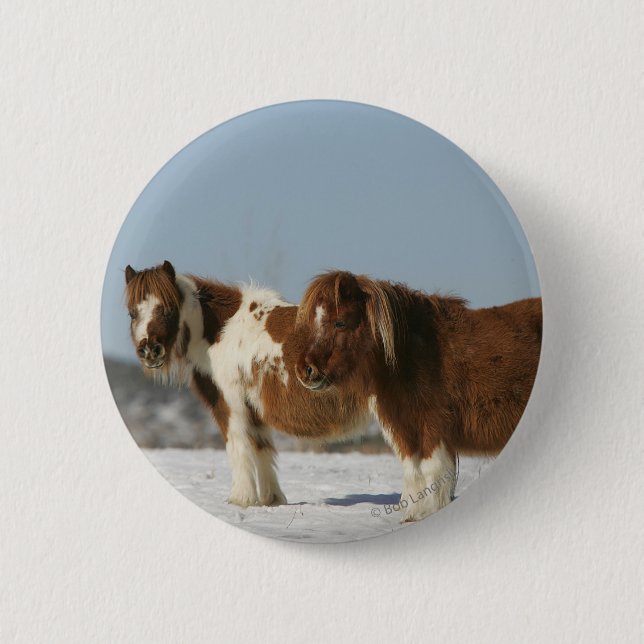Badge Rond 5 Cm Chevaux miniatures se tenant dans la neige (Devant)