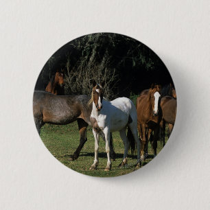 Badge Rond 5 Cm Chevaux sauvages 1 de mustang