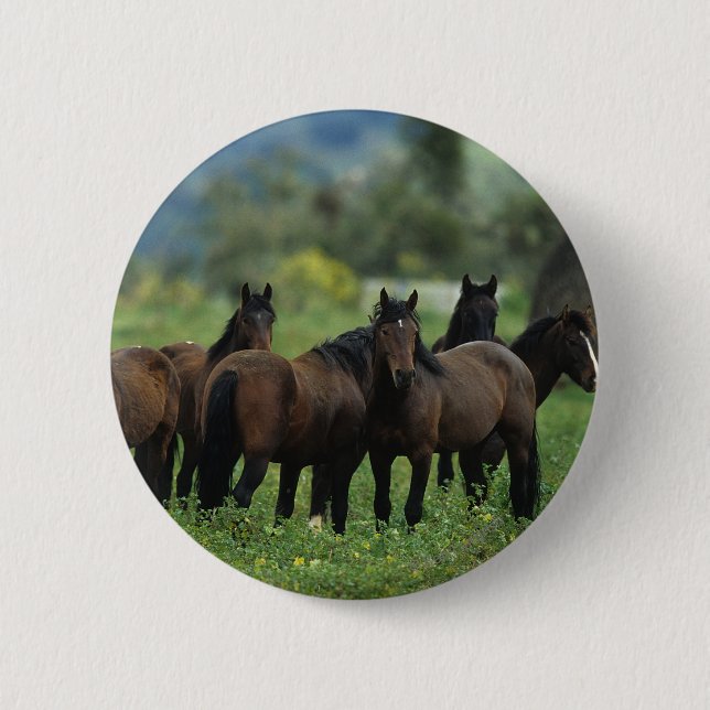 Badge Rond 5 Cm Chevaux sauvages 3 de mustang (Devant)